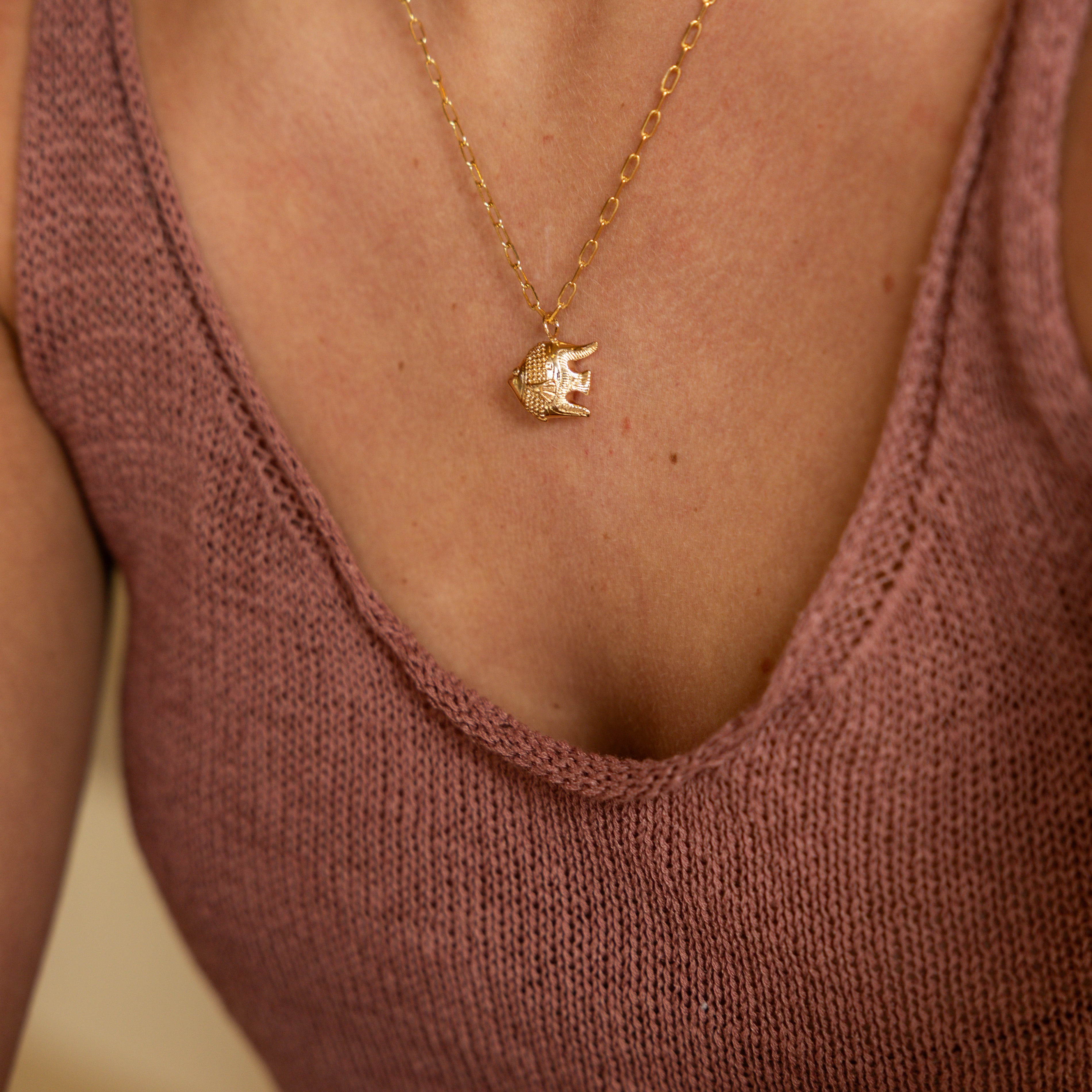 Bijou Fish Charm